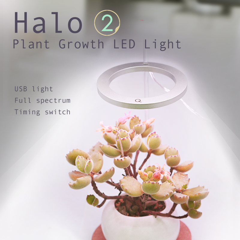 Single ring G2 with Timer Switch USB Small size LED Plant growth lamp Light for indoor plants from QX Factory wholesale 2 buyers