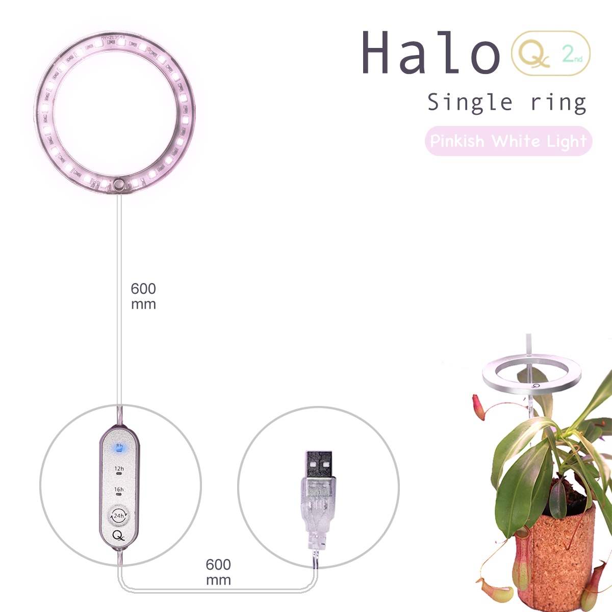 Single ring G2 with Timer Switch USB Small size LED Plant growth lamp Light for indoor plants from QX Factory wholesale
