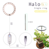 Wholesale Bloom Indoor Plant Seedlings Home Flower Lamp Ring Led Grow Light